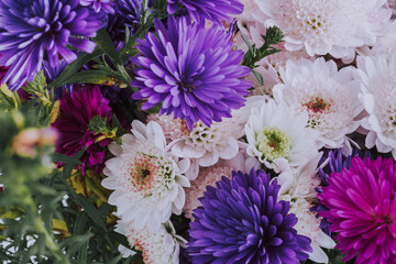 Close-up of colourful aster flowers and chrysanthemums in a bouquet