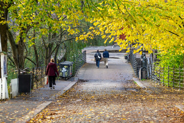 Autumn Walk Over Akerselva River in Sagene Oslo with Golden Foliage and Tranquil Urban Scenery