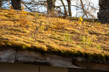 calm autumn landscape, old building with moss roof, park in autumn colors, colorful tree leaves...