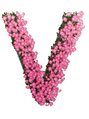Letter V Made Of Pink Roses Isolated On White 3D render