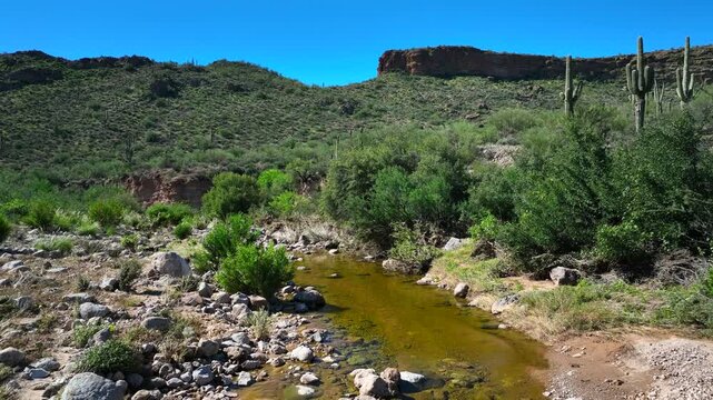 Aerial view of the rugged Apache Trail, where arid desert meets lush greenery along a stream, creating a stunning contrast of colors, Apache Junction, Arizona, United States.