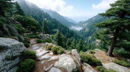 Misty Mountain Landscape With Green Pine Trees And Rocky Terrain Under A Bright Blue Sky With Soft Sunlight
