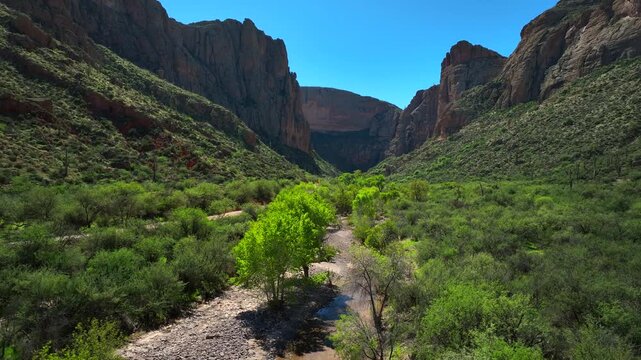 Aerial view of a canyon with steep cliffs and lush green vegetation along the Apache Trail under a clear blue sky, Apache Junction, Arizona, United States.