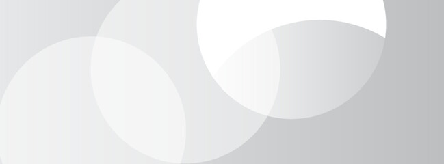 White geometric abstract background overlap layer on bright space with lines effect decoration. Modern graphic design element circles style