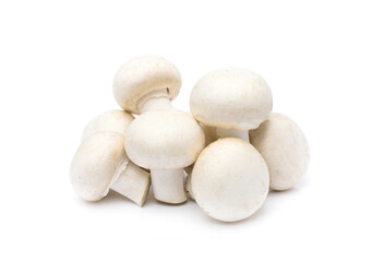 Champignon mushroom isolated on white background