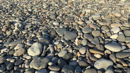 Natural assortment of smooth rounded pebbles and stones in various colors and textures, shaped by water erosion and weathering over time