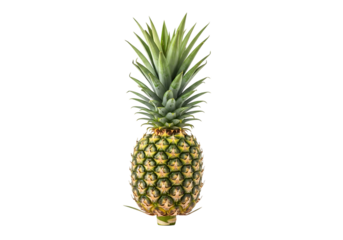 Ripe pineapple with green fronds isolated for tropical fruit design and healthy eating content isolated on transparent background