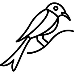 Drongo Icon