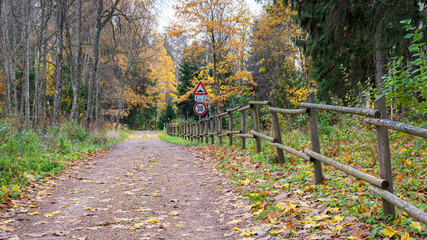 calm autumn landscape, park in autumn colors, colorful tree leaves cover the ground,