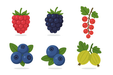 Collection of six garden berries: raspberry, blackberry, red currant, blueberry, and gooseberry