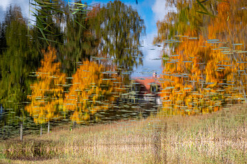 a charming alley of trees in autumn, gold leaves cover the trees and the ground, sunny autumn day