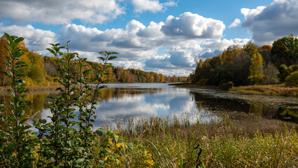 colorful lake shore, charming sunny autumn day, gold leaves cover trees and ground, clouds are reflected in the calm water surfac
