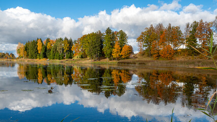 colorful lake shore, charming sunny autumn day, gold leaves cover trees and ground, clouds are reflected in the calm water surfac