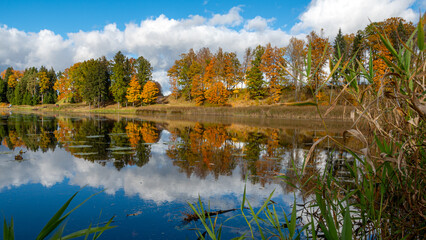 colorful lake shore, charming sunny autumn day, gold leaves cover trees and ground, clouds are reflected in the calm water surfac