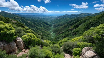 Naklejka premium Vast green valley stretching towards distant blue ocean under a bright blue sky with fluffy white clouds showcasing lush vegetation and rugged terrain on a sunny day