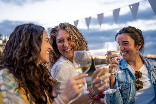 Woman friends toasting with wine at outdoor party
