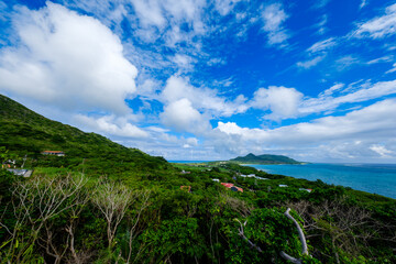 石垣島で見つけた南国の豊かな大自然を感じる風景