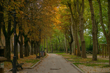 Foliage-Filled Park in Norcia Italy During Autumn