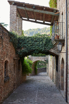 Cobblestone alley with ivy-covered archway in rural village