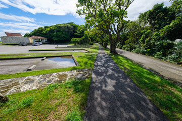 石垣島で見つけた南国の豊かな大自然を感じる風景