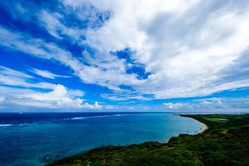 石垣島で見つけた南国の豊かな大自然を感じる風景