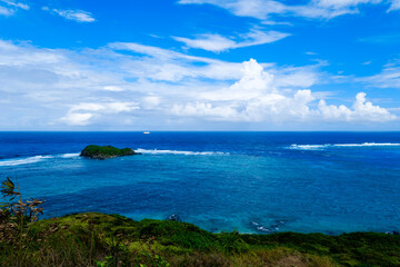 石垣島で見つけた南国の豊かな大自然を感じる風景