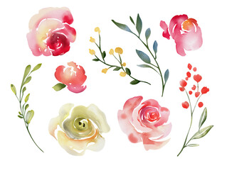 Watercolor set of roses and branches
