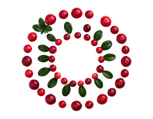 Red Cranberry Fruit Duo Showing Cluster and Single Berry Composition — isolated on transparent background