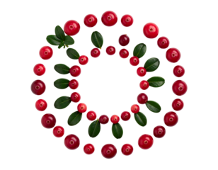 Red Cranberry Fruit Duo Showing Cluster and Single Berry Composition — isolated on transparent background