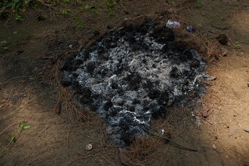 Close-up of Cold Campfire Ash and Charcoal on Ground with Pine Needles