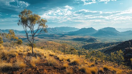 Australia landscape deserts rainforests and coastal cliffs beautiful nature view