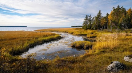 Estonia landscape boreal forests and Baltic islands beautiful nature view