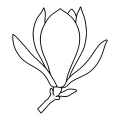 Beautiful Upright Magnolia Flower Bud Line Art Silhouette for Artistic Projects