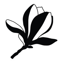 Obraz premium Elegant Black and White Magnolia Flower Silhouette Graphic Design Element