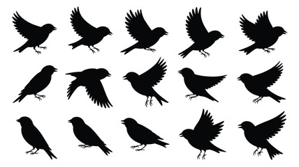 Silhouette finch collection vector art scalableeps illustration set of 16 birds in flight and perched vector
