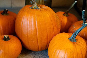 Several bright orange pumpkins displayed together as a symbol of autumn harvest and Halloween. Perfect for seasonal design, food backgrounds, Thanksgiving, and fall decorations.
