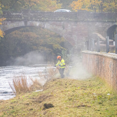 Fototapeta premium Environmental agency worker cutting grass on a riverbank to protect from flooding.