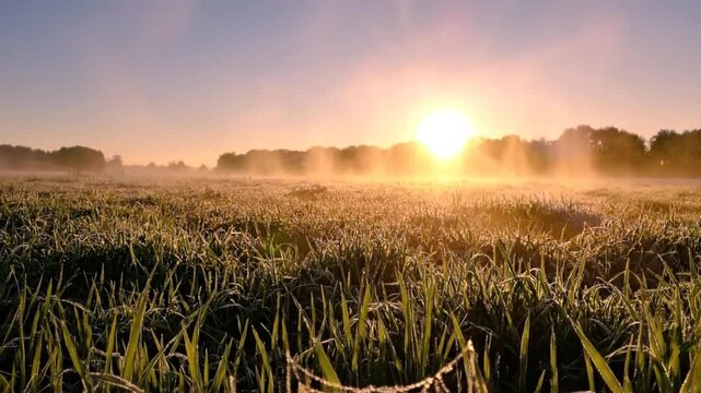 A modern smartwatch with a bright green chroma key screen and a brown leather strap, shown in a close-up shot.