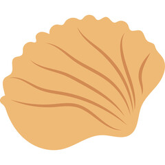 Single Orange Scallop Seashell with Detailed Radial Ribs Isolated on White Background Minimalist Design