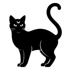 Obraz premium Elegant Black Cat Silhouette Outline on Transparent Background