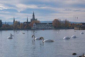 Bodensee, Blick auf die Stadt Konstanz im Herbst