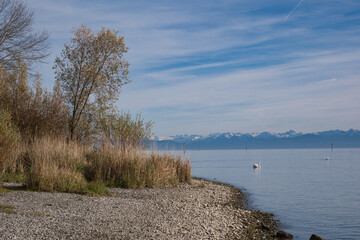 Bodensee, Herbst am Seeufer bei Konstanz mit Alpen