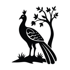 Obraz premium Exotic Peacock SVG