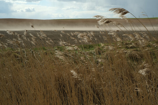 Erosion in worked-out land  
