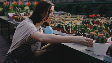 Young woman caring for cacti in a plant nursery during the afternoon, showcasing her passion for...