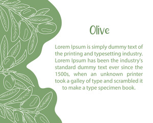 Elegant olive branch background with green leaves and fruits. Minimalistic botanical design for natural cosmetics, packaging, invitations, or organic product branding. Vector illustration.