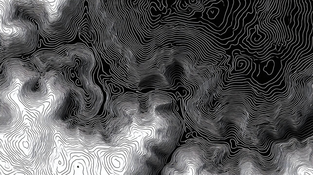 An abstract monochrome image that shows topography mapping