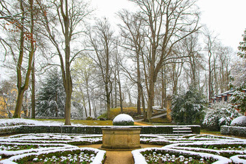 Snow Covered Winter Trees in Regensburg Park Creates Tranquil Seasonal Landscape Scene