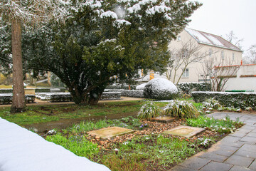 Snow Covered Winter Trees in Regensburg Park Creates Tranquil Seasonal Landscape Scene