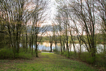 Peaceful Spring Walk Along Idyllic Country Road Near Danube Lake in Regensburg